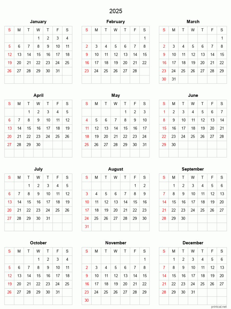 2025 Printable Calendar Full Year Calendar Grid Style 