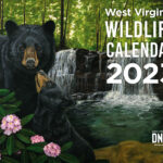 2023 West Virginia Wildlife Calendar Now Available To Purchase WVDNR