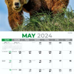 2024 Virginia Wildlife Calendar Glyn Antonia