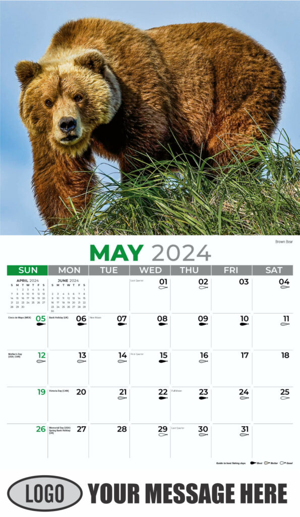 2024 Virginia Wildlife Calendar Glyn Antonia