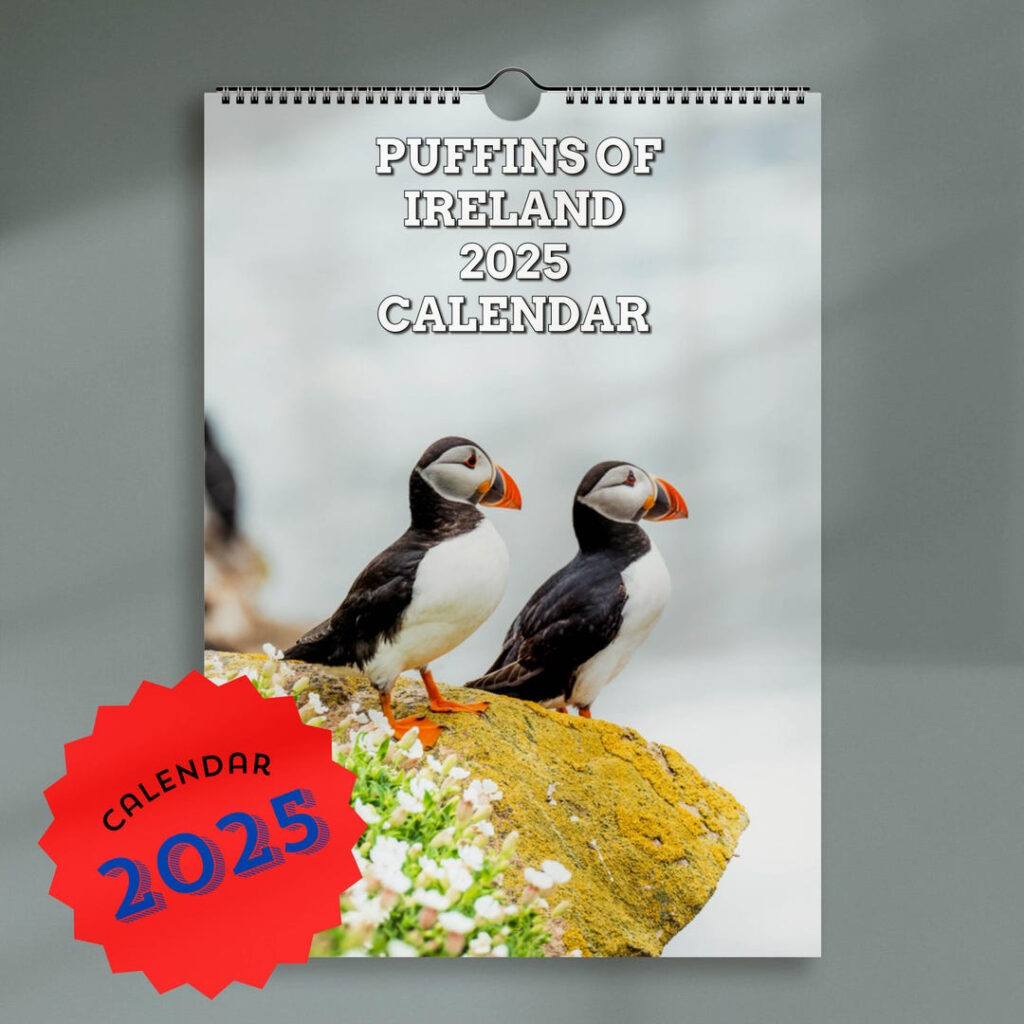 2025 Puffin Calendar Wildlife Photography A3 Wall Planner A4 Calendar 