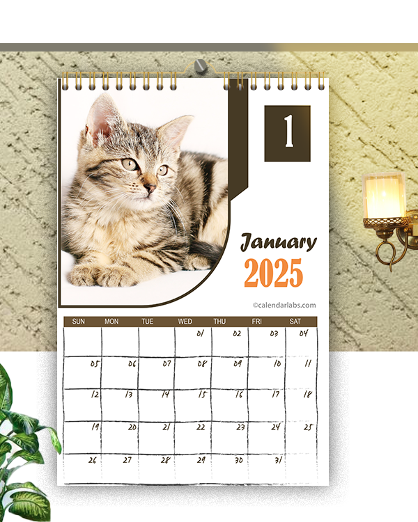 2025 Wall Calendar Pottery Works Irita Peggie