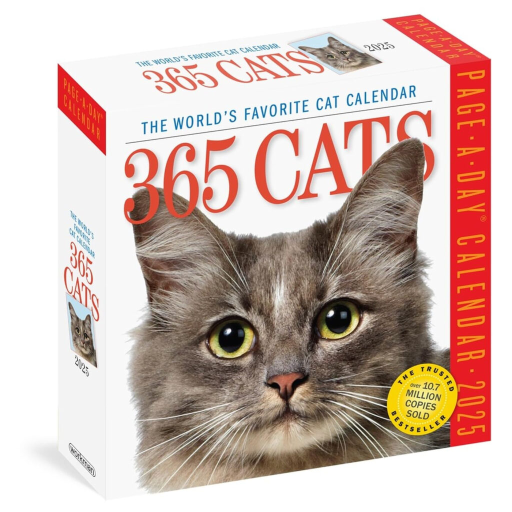 Amazon 365 Cats Page A Day Calendar 2025 The World s Favourite Cat 