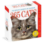 Amazon 365 Cats Page A Day Calendar 2025 The World s Favourite Cat