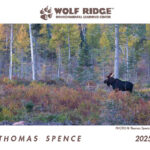 Buy 2025 Wolf Ridge ELC Calendars Thomas Spence