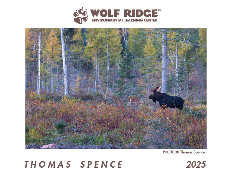 Buy 2025 Wolf Ridge ELC Calendars Thomas Spence