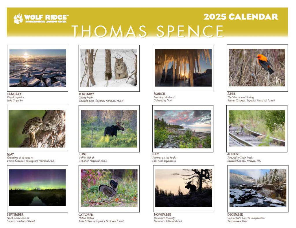 Buy 2025 Wolf Ridge ELC Calendars Thomas Spence