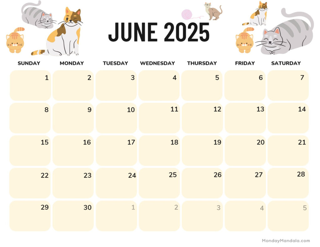 Cat 2025 Calendar Lilia Patrica