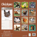 Chicken Calendar 2025 Megen Charmain