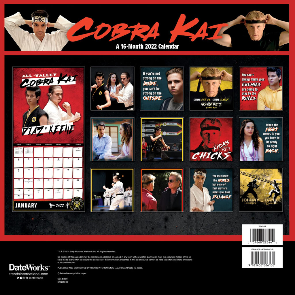 Cobra Kai 2022 Wall Calendar By Trends International 9781438886138 