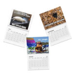 Funny Cat Memes 2025 Calendar 12 Months Wall Calendar Perfect