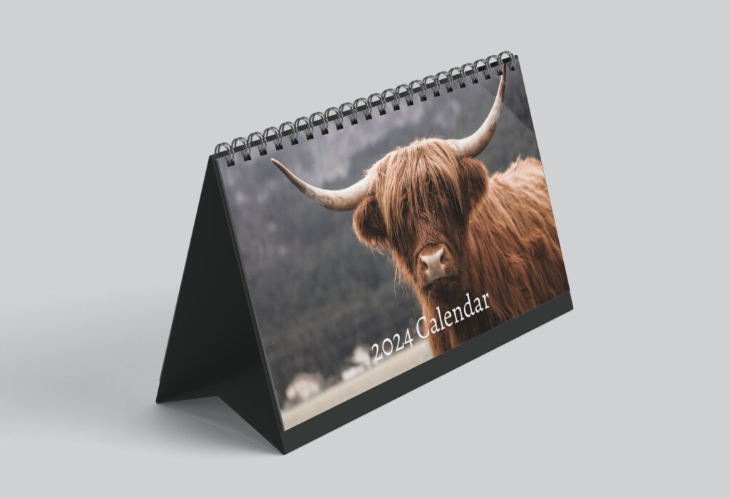 Highland Cow Desk Calendar 2024 Desktop Calendar Highland Cow Calendar 