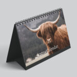 Highland Cow Desk Calendar 2024 Desktop Calendar Highland Cow Calendar