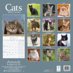 Hosico Cat Calendar 2025 Roze Wenona