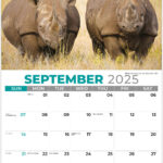 International Wildlife 2025 Promotional Calendar