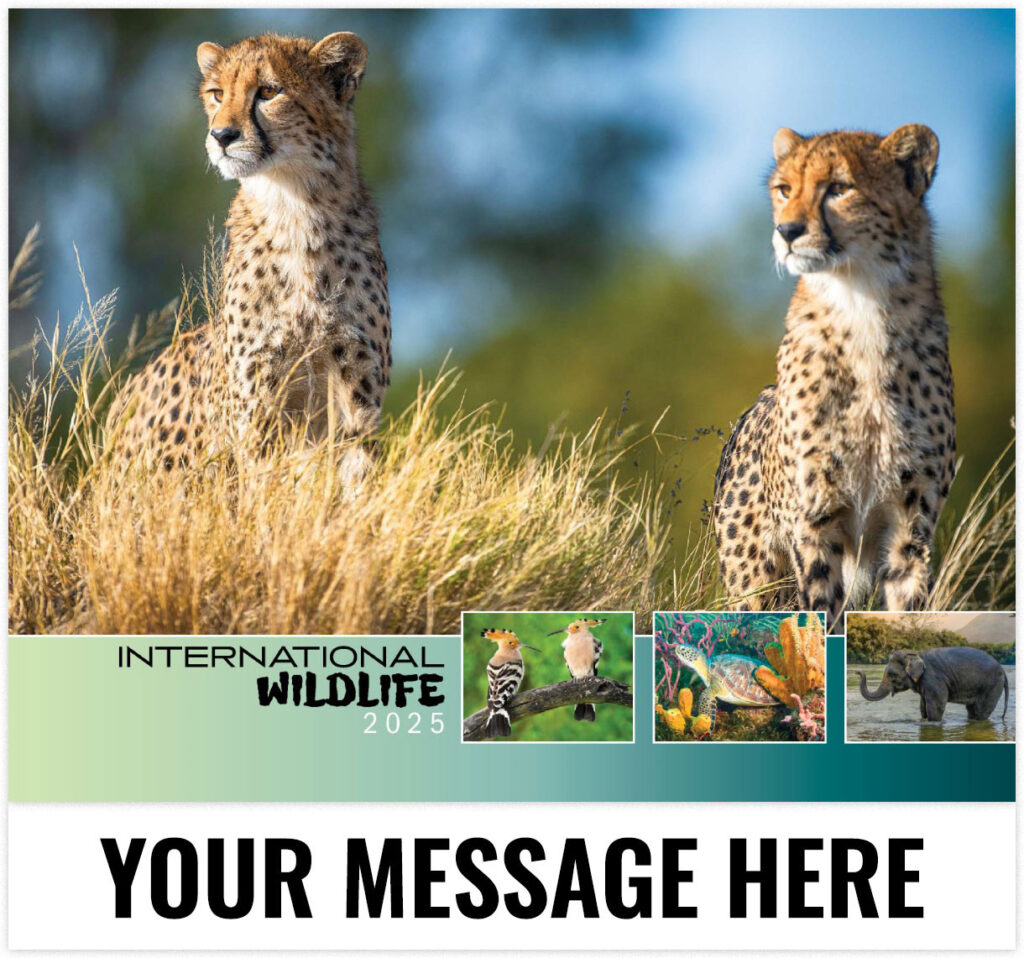 International Wildlife 2025 Promotional Calendar