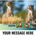 International Wildlife 2025 Promotional Calendar