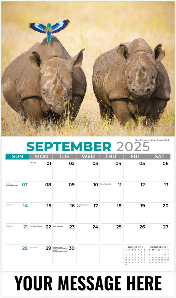 International Wildlife 2025 Promotional Calendar