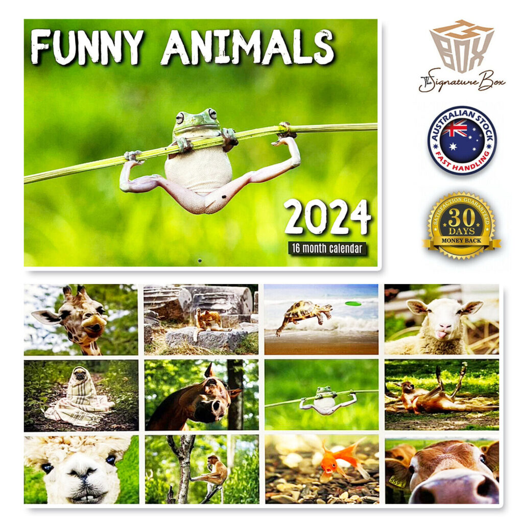 NEW 2024 Wall Calendar 16 Months FUNNY ANIMALS New Year Gift Planner 