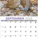 North American Wildlife 2025 Promotional Calendar