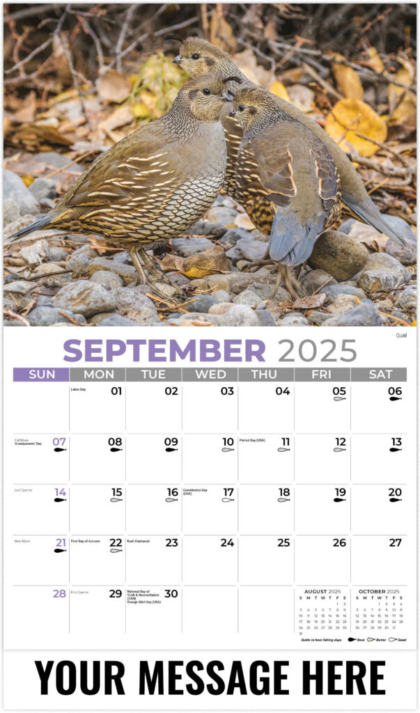 North American Wildlife 2025 Promotional Calendar