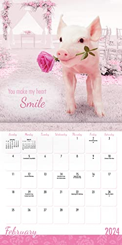 Perfectly Pink Calendar 2024 Deluxe 2024 Perfectly Pink Piglets Wall 