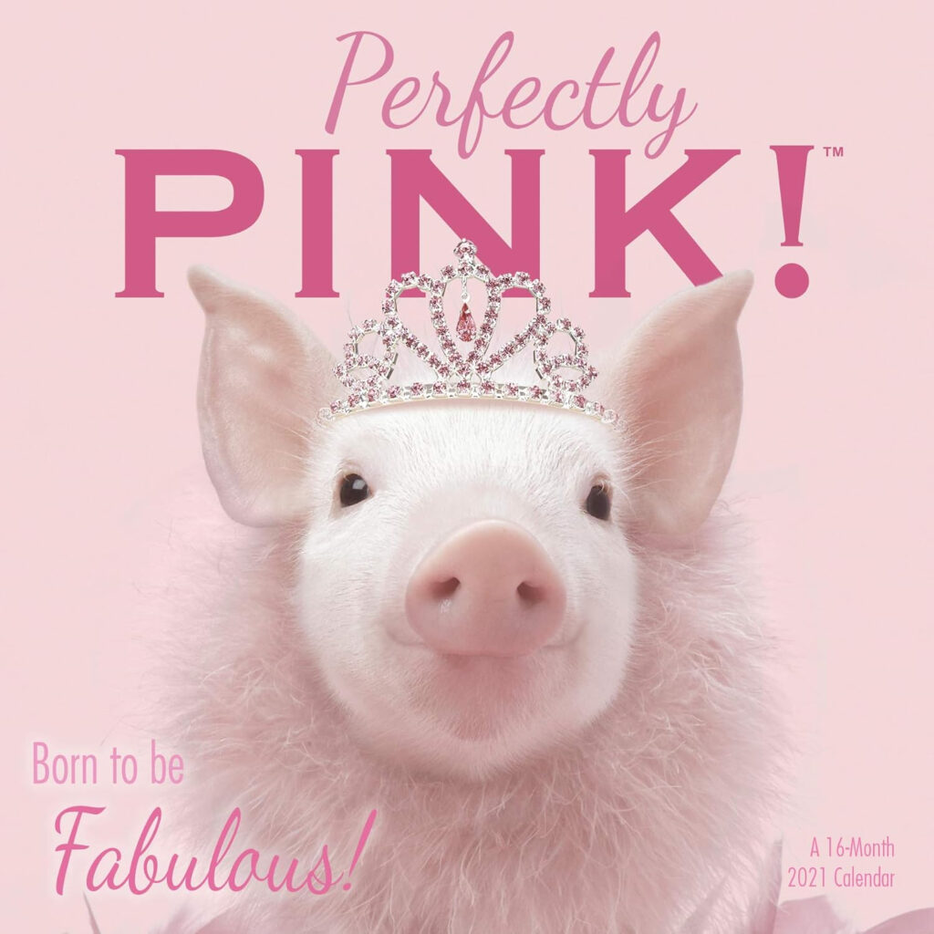 Perfectly Pink Calendar Trends Amazon in Books