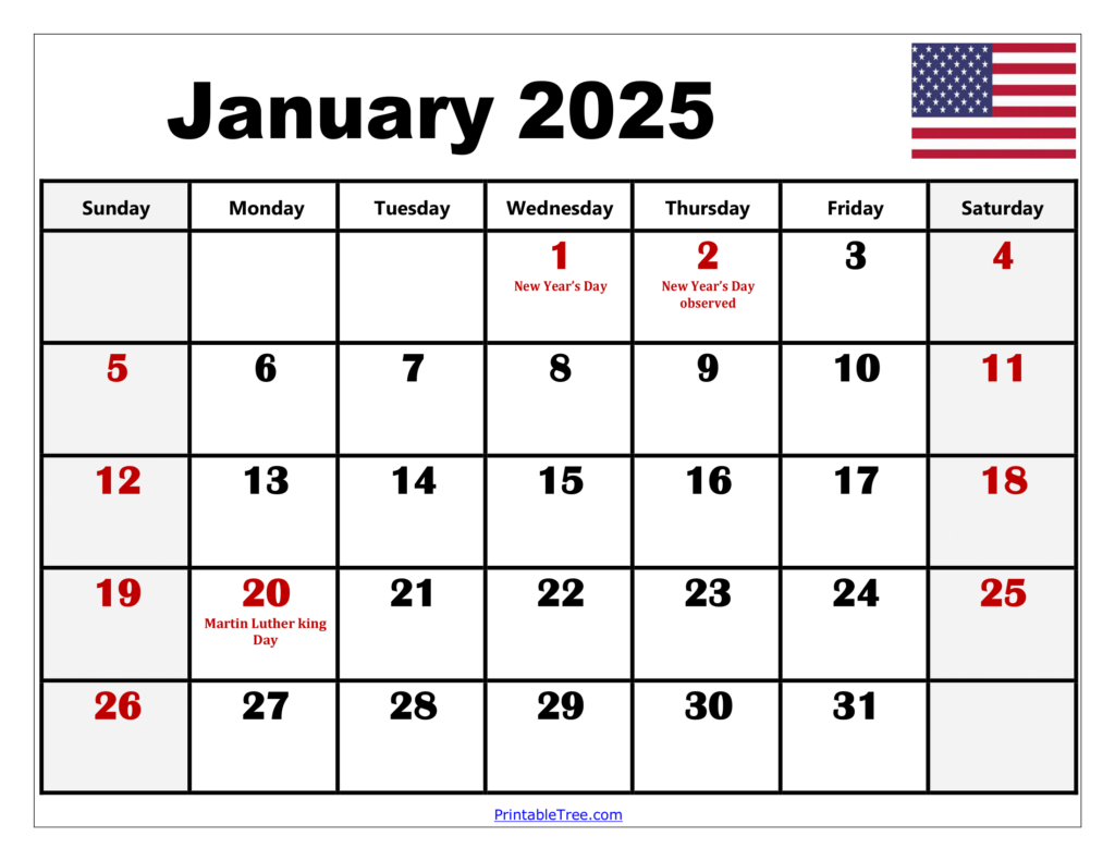 Printable January Calendar 2025 With Holidays Matty Shellie