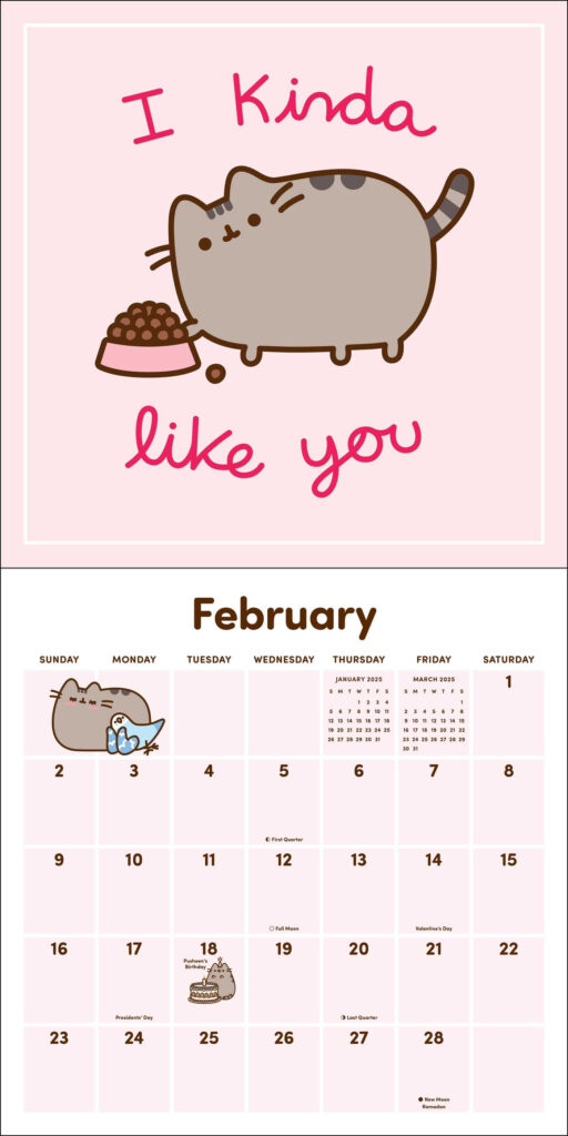 Pusheen 2025 Wall Calendar Book Summary Video Official Publisher 