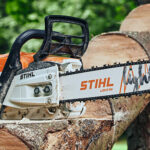 Stihl 2025 Calendar Google Nelly Delcina