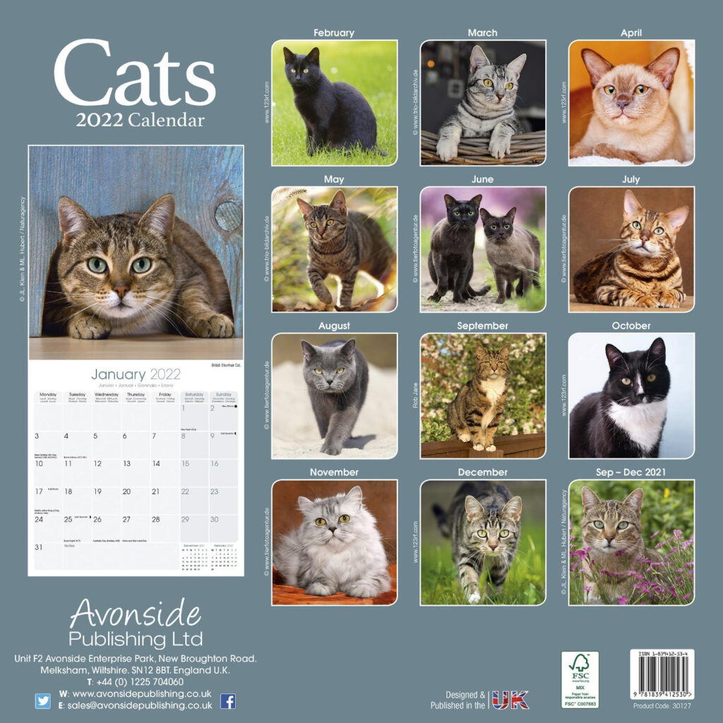 The Paw Print Cat Calendar 2025 Rorie Claresta